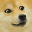 Preview of DOGE price