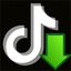 Anteprima di TikTok Scarica Video, Audio e copertina