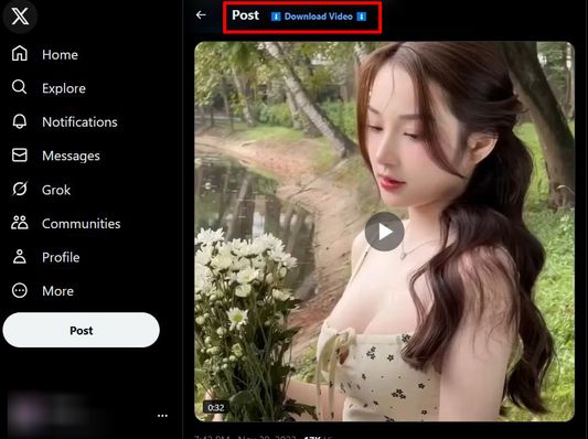 Twitter(x) Video GIF Downloader