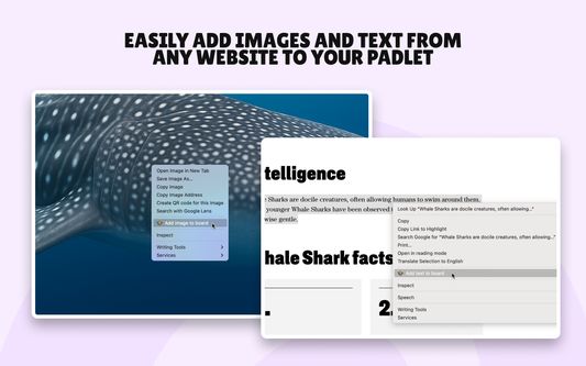 Easily add images and text from any website to your Padlet with this extension!