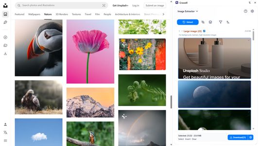 Image Extraction: One-click to capture and organize images directly from any webpage.